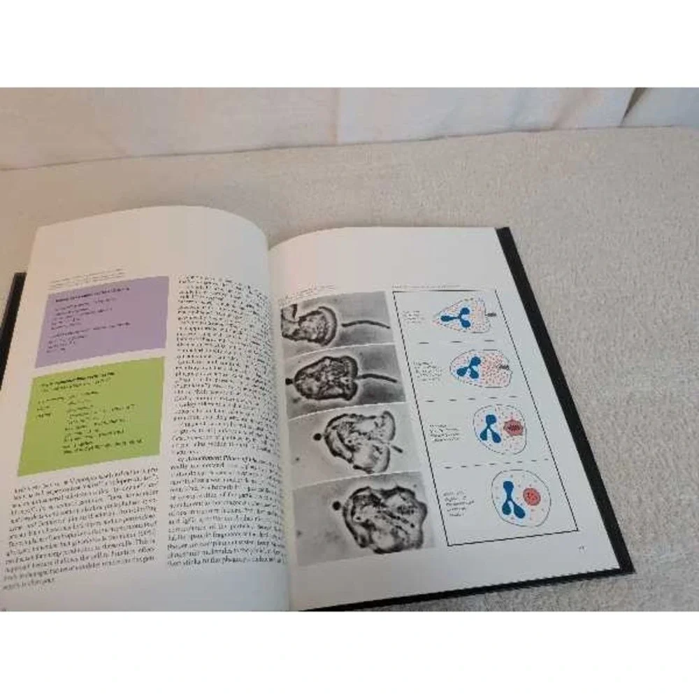 Inflammation A Scope Publication 1977 Medical Science Book